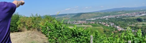 Meine-Nahe-Stopp 4: Weingut Joh. Bapt. Schäfer in Burg Layen