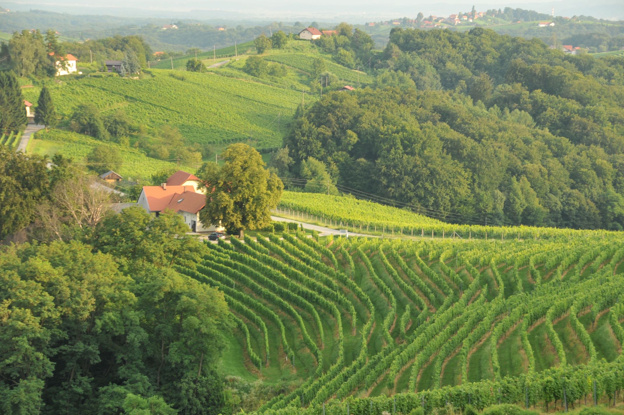 Weingut